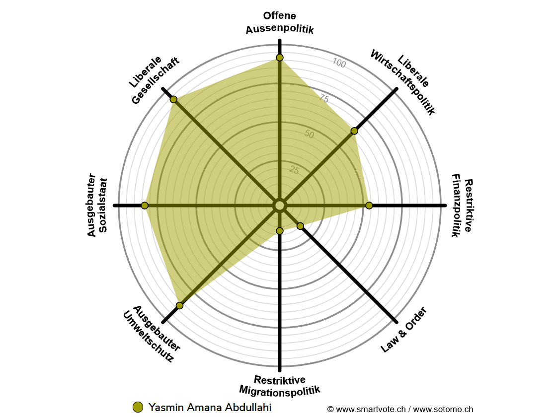 Smartvote Spider Grafik